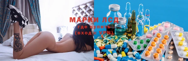 прущие грибы Алексин