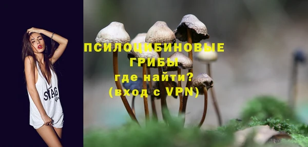 прущие грибы Алексин