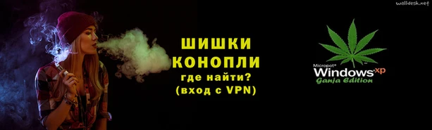 прущие грибы Алексин