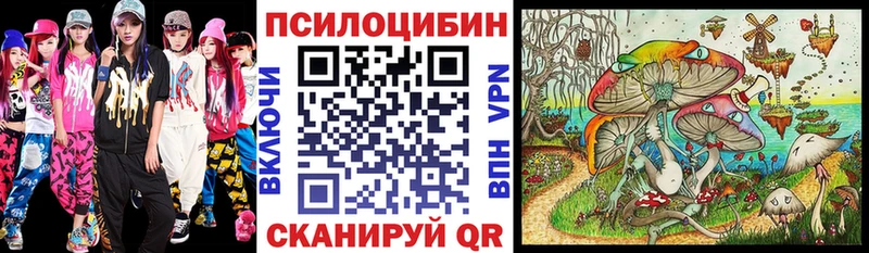 Псилоцибиновые грибы Psilocybine cubensis Каргополь